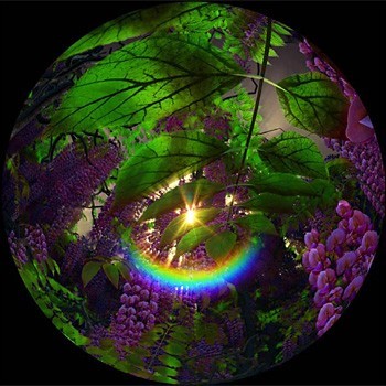 frame-luz2